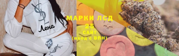 индика Баксан