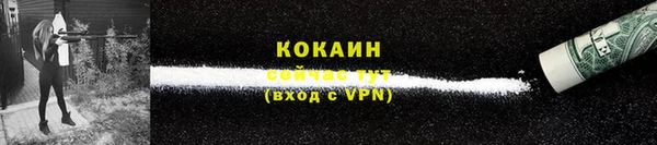 индика Баксан