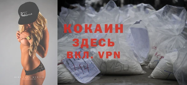 индика Баксан