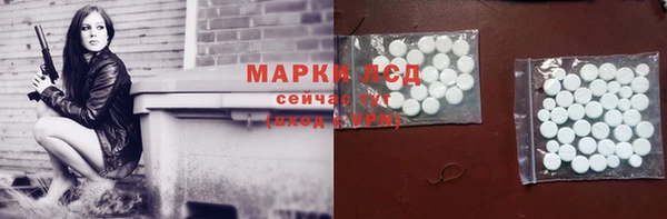 индика Баксан