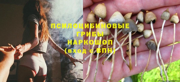 первитин Балахна