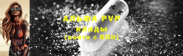 индика Баксан
