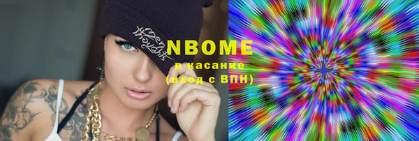 индика Баксан