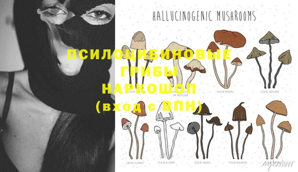 соль ск Балабаново