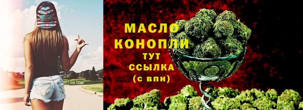 индика Баксан