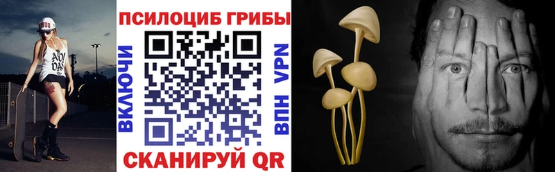 Купить  Билибино  Галлюциногенные грибы Psilocybine cubensis 